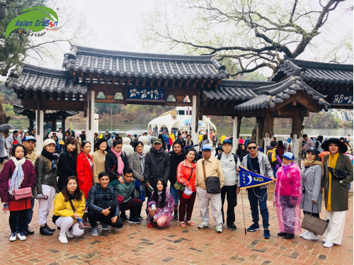Tour du lịch ngắm hoa anh đào Hàn Quốc khởi hành 13-4