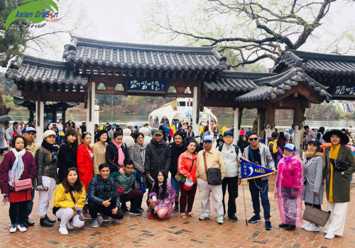 Tour du lịch ngắm hoa anh đào Hàn Quốc khởi hành 13-4
