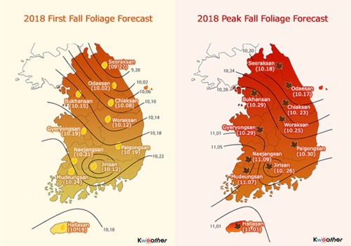 Lịch dự báo mùa lá đỏ ở Hàn Quốc
