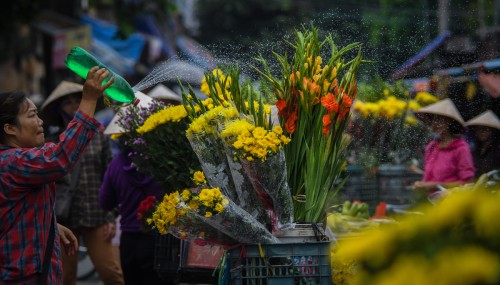 Hà Nội mùa thu về