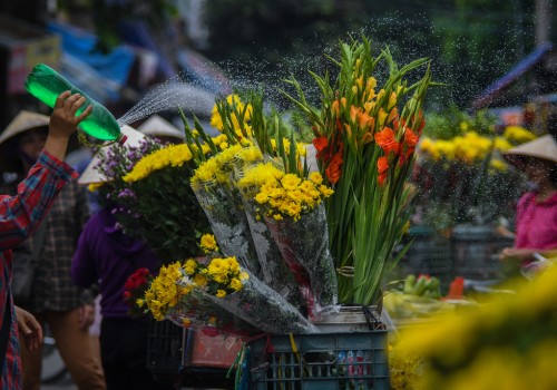 Hà Nội mùa thu về