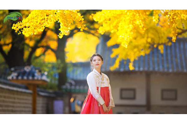 Mùa thu Hàn Quốc đẹp như tranh, lãng mạn và diệu kỳ