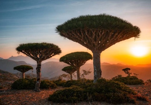 SOCOTRA - "HÀNH TINH KHÁC" GIỮA BIỂN Ả RẬP KHIẾN THẾ GIỚI NGỠ NGÀNG 