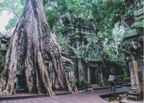 Ta Prohm - ngôi đền đầy ma mị của những rễ cây kỳ dị