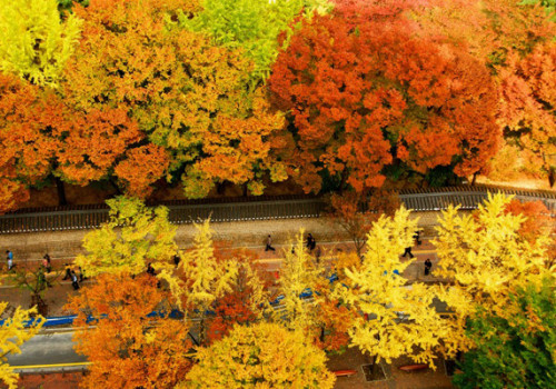 Những điểm đến đẹp nhất vào mùa thu ở Hàn Quốc