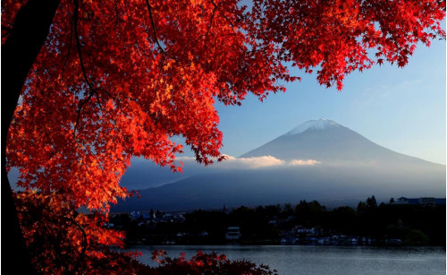 Du lịch Nhật Bản chiêm ngưỡng mùa thu lá đỏ tuyệt đẹp 