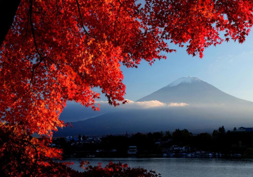 Du lịch Nhật Bản chiêm ngưỡng mùa thu lá đỏ tuyệt đẹp 
