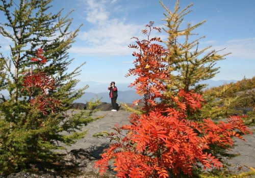 Mùa thu đẹp ngỡ ngàng trên núi Phú Sĩ