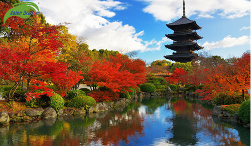 7 điểm du lịch Nhật Bản không thể bỏ qua