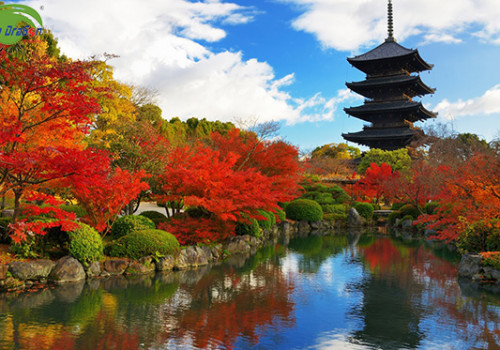 7 điểm du lịch Nhật Bản không thể bỏ qua