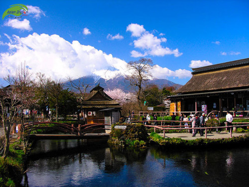 Đến Nhật Bạn đừng quên ghé thăm làng cổ Oshino Hakkai
