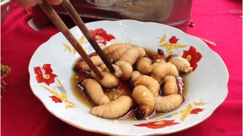 10 món ăn Việt Nam khiến khách Tây sợ hãi