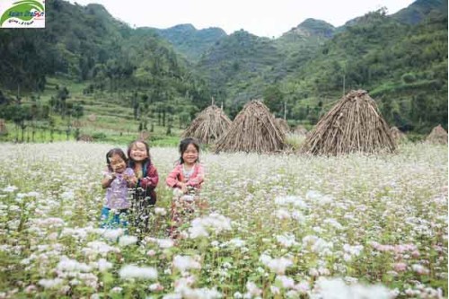 Du lịch 2016 - nên đi đâu để thấy Việt Nam đẹp tuyệt vời?