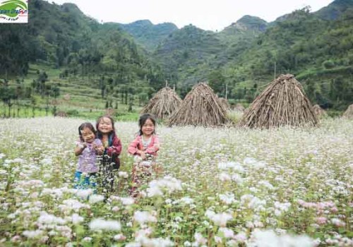 Du lịch 2016 - nên đi đâu để thấy Việt Nam đẹp tuyệt vời?