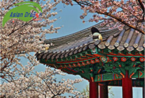Mùa xuân ở Hàn Quốc