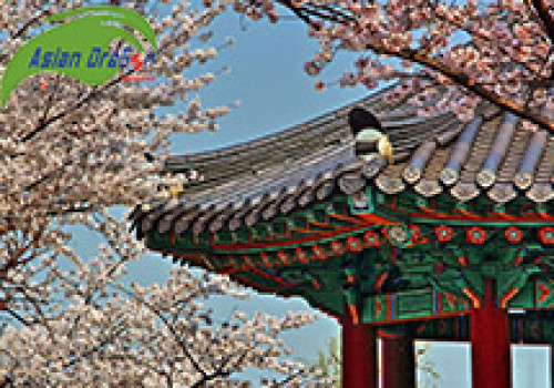 Mùa xuân ở Hàn Quốc