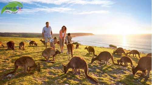 Nên đi du lịch Úc vào tháng nào là đẹp nhất?