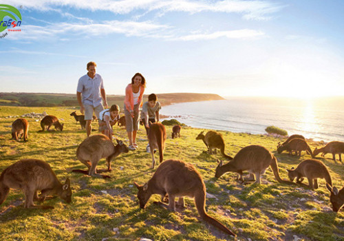 Nên đi du lịch Úc vào tháng nào là đẹp nhất?