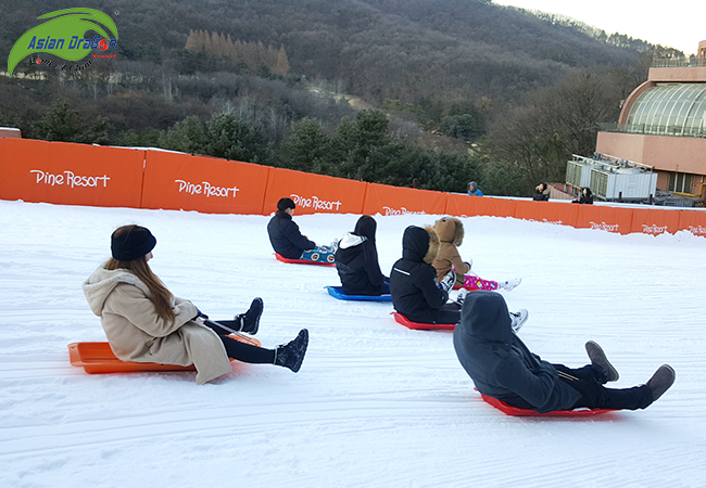 Du lịch Hàn Quốc Seoul - Trượt tuyết - Lotte World 5 ngày...