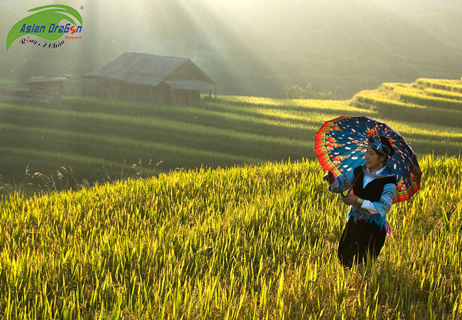 TOUR HÀ NỘI - LÀO CAI - SAPA 4 NGÀY 3 ĐÊM