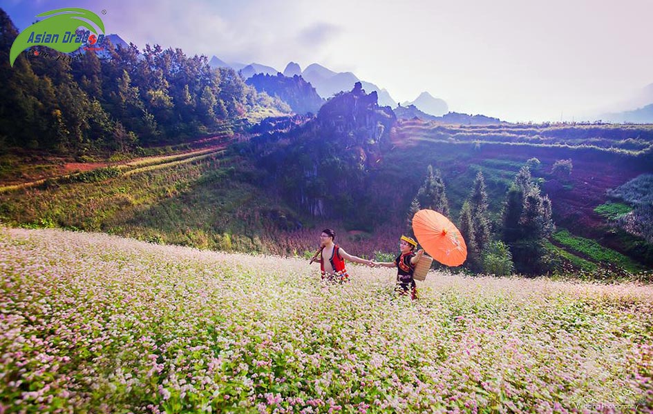 VÒNG CUNG ĐÔNG BẮC: HÀ GIANG - LŨNG CÚ - ĐỒNG VĂN - THÁC BẢN GIỐC - PÁC BÓ - HỒ BA BỂ 5 NGÀY 4 ĐÊM