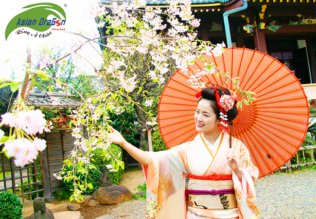 CUNG ĐƯỜNG VÀNG MÙA HOA ANH ĐÀO OSAKA - KYOTO - NAGOYA -  PHÚ SĨ - TOKYO 5 NGÀY 5 ĐÊM