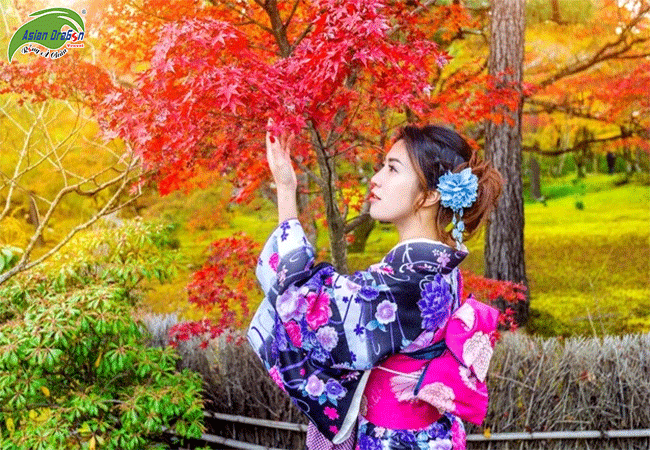 NHẬT BẢN MÙA THU: TOKYO - NÚI PHÚ SĨ - ONSEN 5 NGÀY 4 ĐÊM