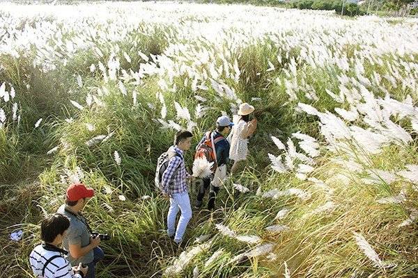 Cẩm nang chi tiết du lịch Đà Nẵng