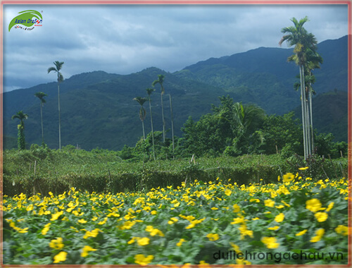 Du lịch Đài Loan