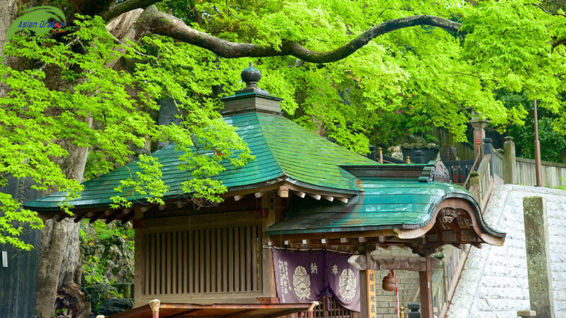 Du lịch Nhật Bản: Naritasan Shinshoji Temple