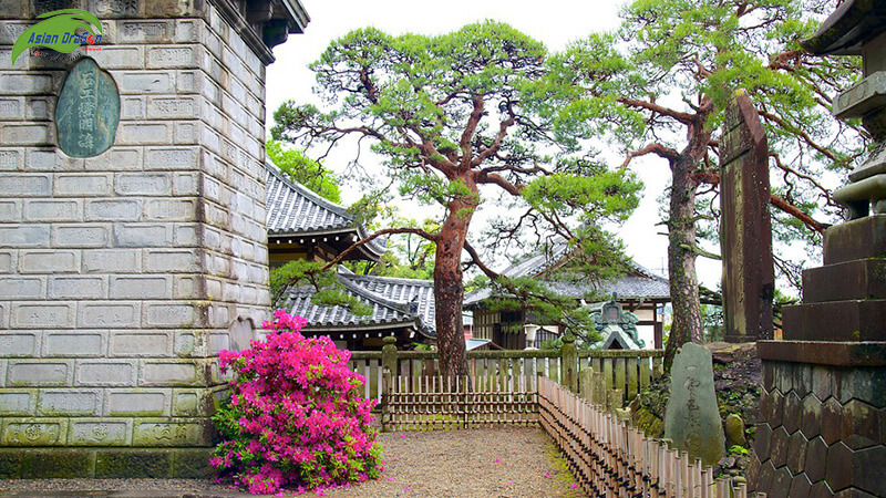 Du lịch Nhật Bản: Naritasan Shinshoji Temple