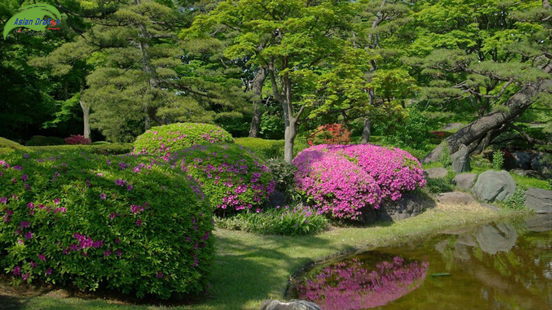 Hoàng cung Tokyo