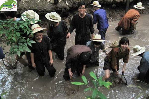 du lịch bến tre