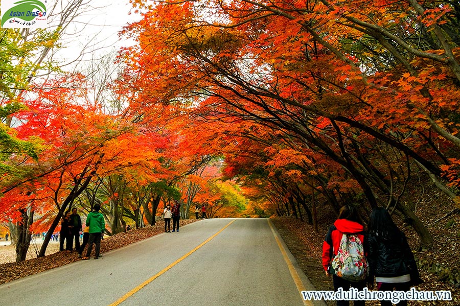 Du lịch Hàn Quốc: Mùa thu hàn quốc