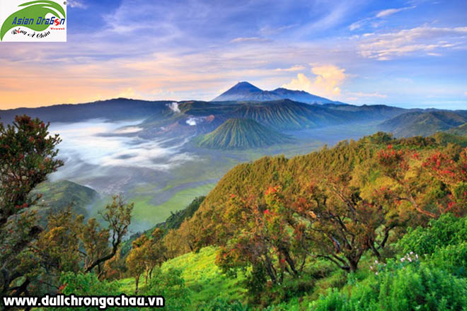 Bromo Tengger Semeru