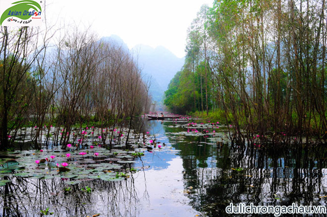 Du lịch chùa Hương: suối yến