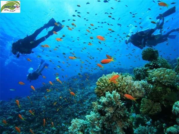 Lặn biển ở Kohrong - du lịch Campuchia