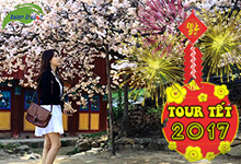 Tour tết 2017 hàn quốc