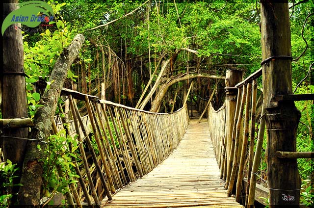 Cầu treo trên sông Serepok