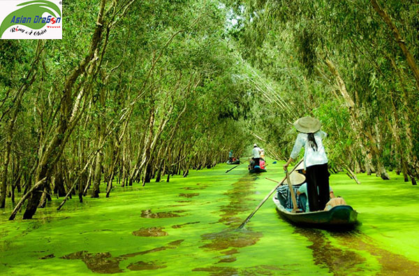 Du lịch Miền tây: rừng tràm trà sư