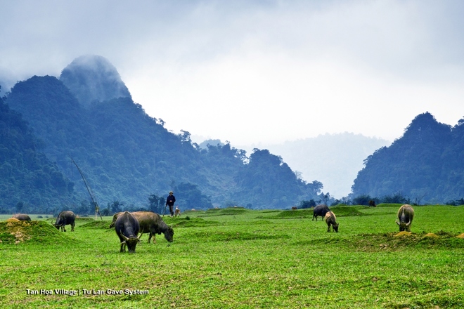 Cảnh đẹp Việt Nam trong bom tấn Kong-Skull Island