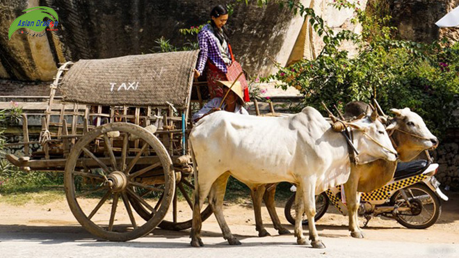 Du lịch Myanmar