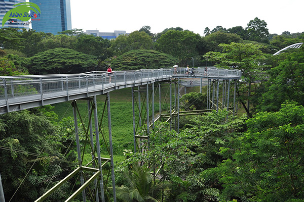 Du lịch Singapore