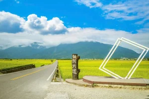 ĐẠI LỘ BROWN - NƠI THỜI GIAN TRÔI CHẬM GIỮA CÁNH ĐỒNG XANH Ở ĐÀI LOAN