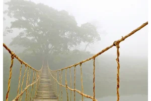 Bức tranh nổi tiếng khắp thế giới được chụp ở Sapa