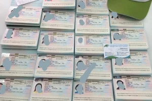 Visa Nga về cuối tháng 8 - 2019