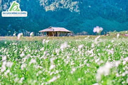 TP.HCM - HÀ NỘI - SAPA - ĐIỆN BIÊN - MỘC CHÂU - HÒA BÌNH 5 NGÀY 4 ĐÊM