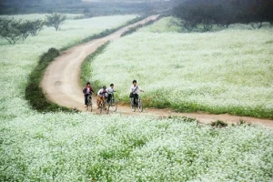 Du lịch Tây Bắc: Loạt ảnh Tây Bắc đẹp đến nghẹt thở