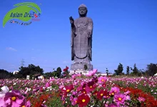 Du lịch Nhật Bản tham quan Ibaraki
