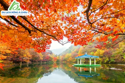 TOUR HÀN QUỐC: SEOUL - NAMI - EVERLAND/LOTTE WORLD 5 NGÀY 4 ĐÊM
